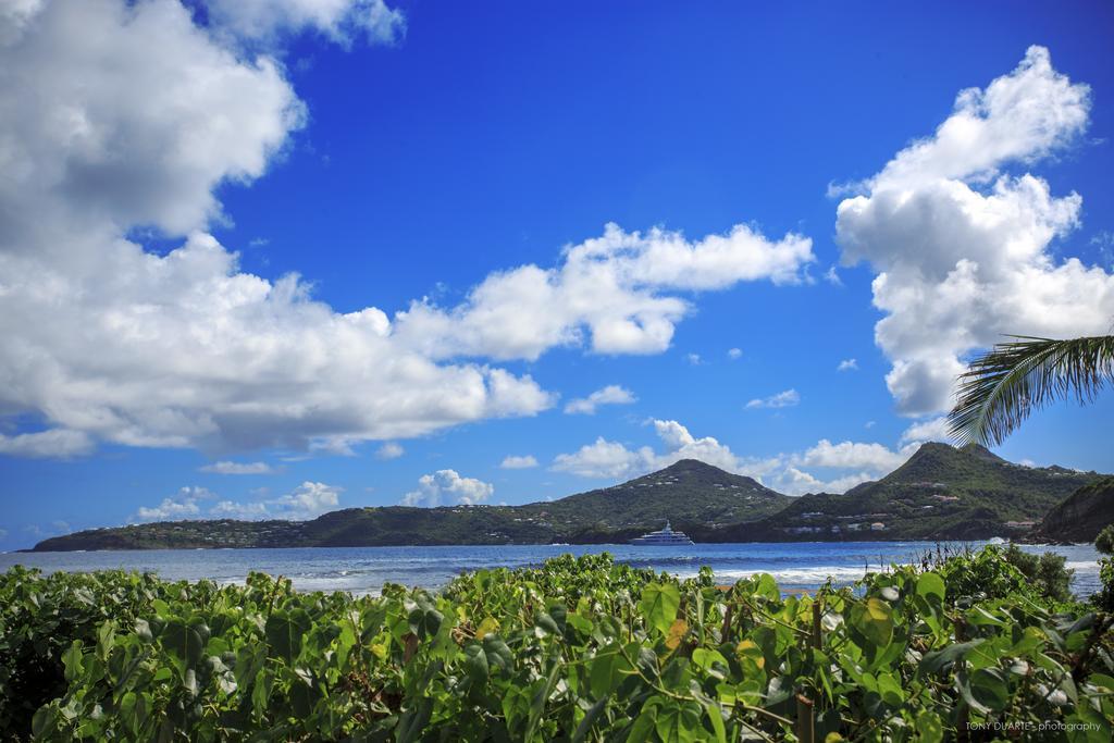 Villa Eugenie Gustavia Eksteriør billede